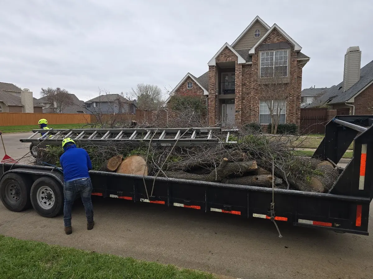 Expert Tree Fertilization with proper safety equipment in Gold Bar
